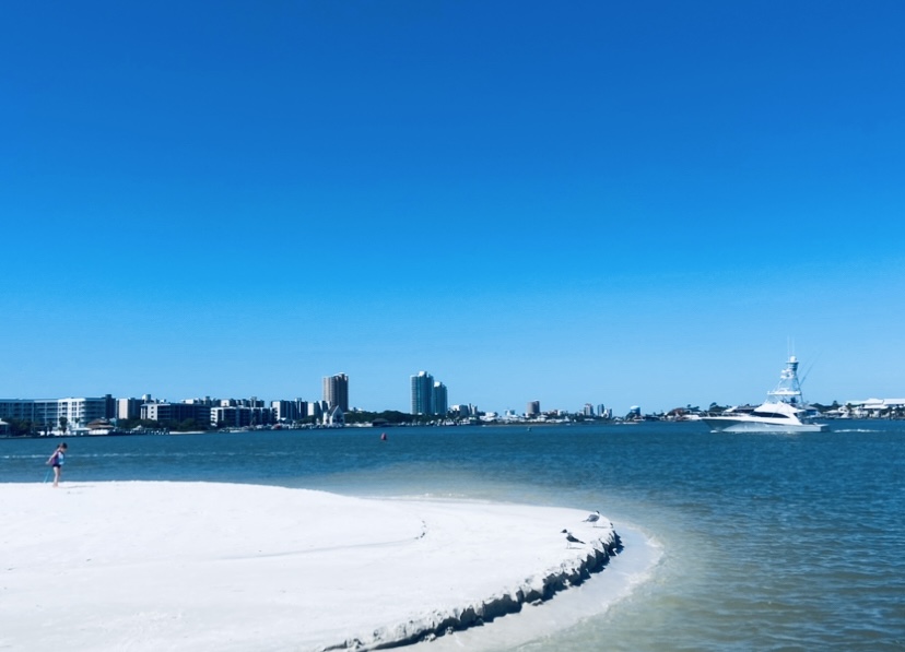 Snorkeling in Orange Beach, AL | Dolphin Cruise Aboard Dolphin Tales
